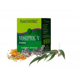 VOSEPTOL V – Fl. 20 tb.