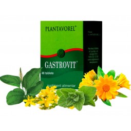 GASTROVIT - Fl. 40 tb.